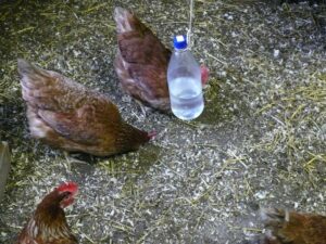 Enrichment bottle