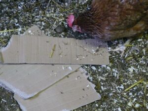 Enrichment carton