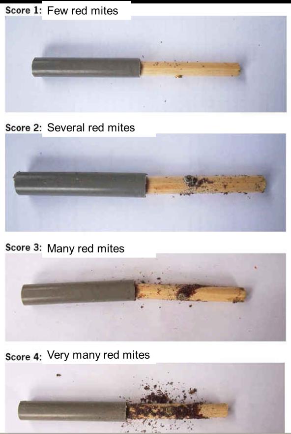 Home-made PRM monitor